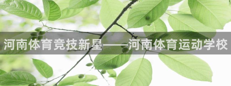 vsport体育官网下载平台注册流程视频：河南体育竞