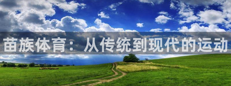 vsport体育官方正版app集团
