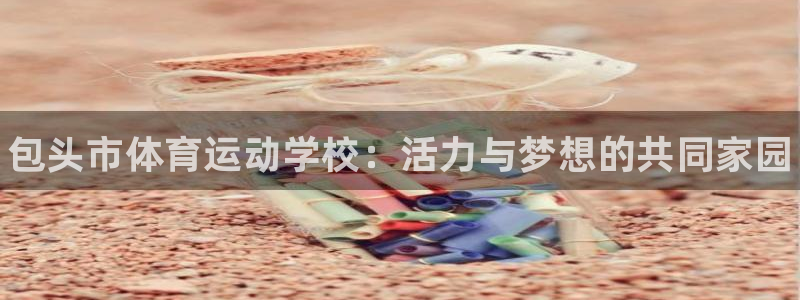vsport体育官方正版app集团logo