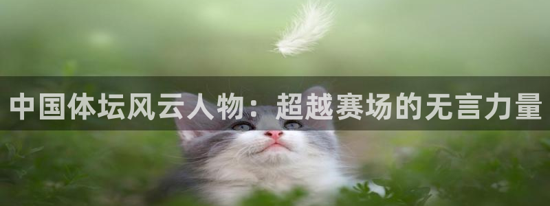 vsport体育官网下载是干嘛的公司：中国体坛风云人