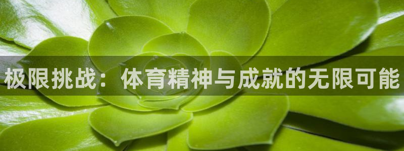 vsport体育官方正版app娱乐首页官网下载：极限