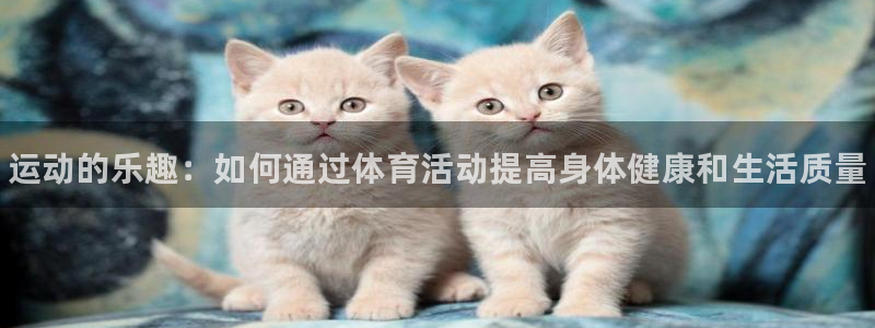 vsport体育官网下载平台注册要钱吗：运动的乐趣：
