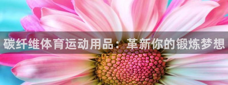 vsport体育官方正版app娱乐代理怎么样：碳纤维体育运动