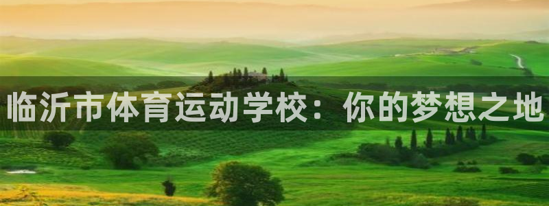 注册vsport体育官方正版app：临沂市体育运动学校：你的