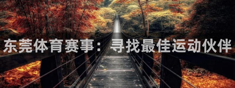 vsport体育官网下载是干嘛的公司：东莞体育赛事：寻找最佳