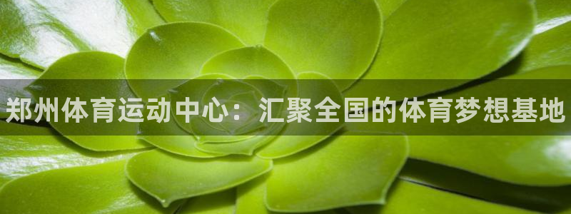 德国vsport体育官方正版app集团