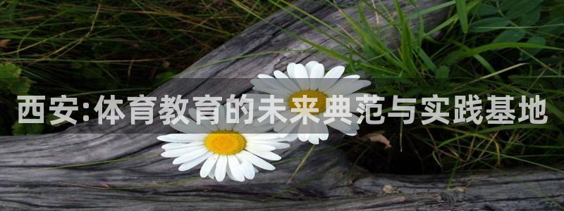vsport体育官方正版app娱乐代理怎么样