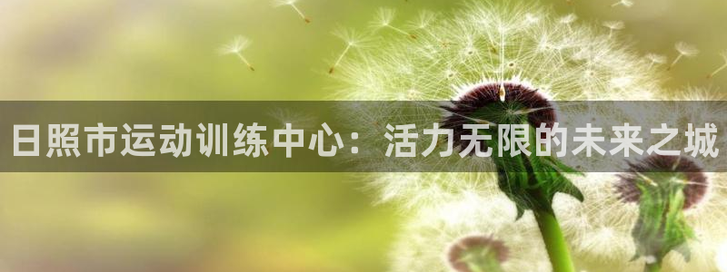 vsport体育官方正版app五金厂：日照市运动训练中心：活
