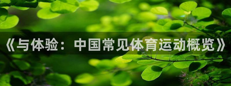 vsport体育官网下载平台是正规平台吗：《与体验：中国常见