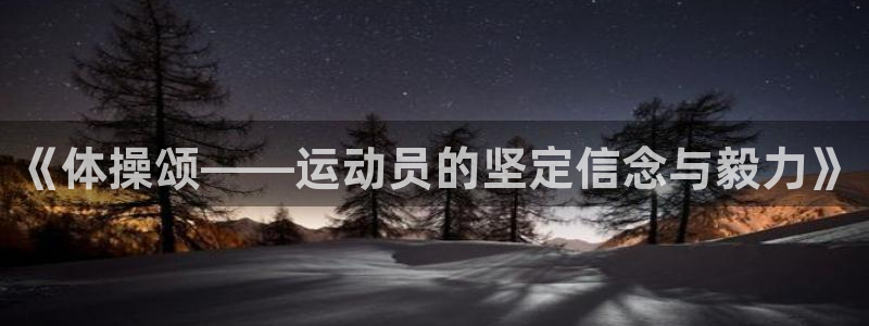 vsport体育官方正版app开户：《体操颂——运动员的坚定