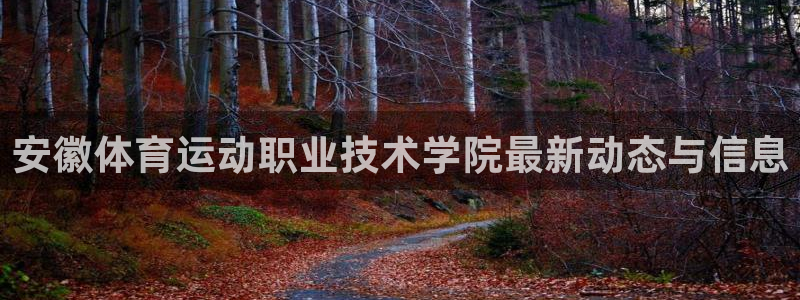 vsport体育官网下载平台注册流程图：安徽体育运动