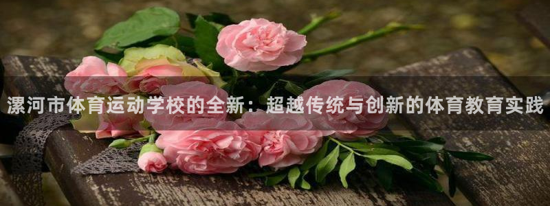 vsport体育官方正版app新能源：漯河市体育运动
