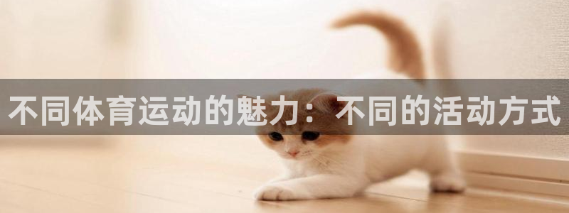 vsport体育官方正版app新能源：不同体育运动的