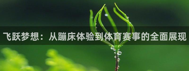 vsport体育官网下载招商电话号码查询：飞跃梦想：从蹦床体
