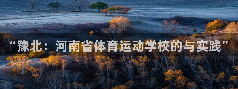 vsport体育官方正版app集团官网网址