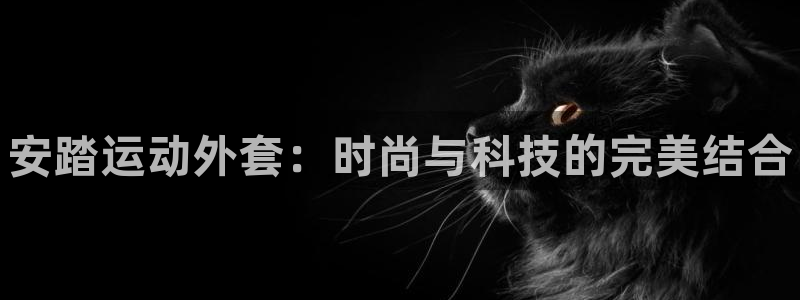 vsport体育官网下载招商电话号码是多少啊：安踏运动外套：