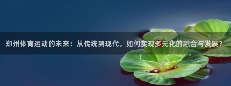 vsport体育官方正版app开户：郑州体育运动的未来：从传