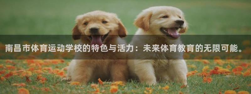 vsport体育官网下载注册：南昌市体育运动学校的特色与活力