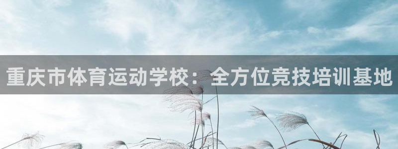 vsport体育官方正版app娱乐首页官网下载：重庆市体育运