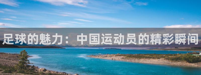 vsport体育官方正版app娱乐首页官网下载