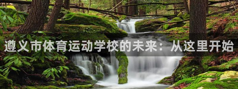 vsport体育官方正版app集团官网网址