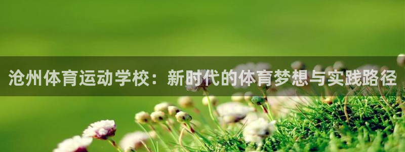 vsport体育官方正版app娱乐是那个系列的台子：沧州体育