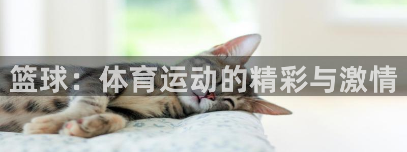 vSport体育app最新版本更新内