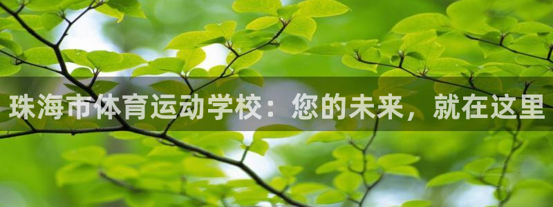 VSport体育平台-胜利因您更精彩