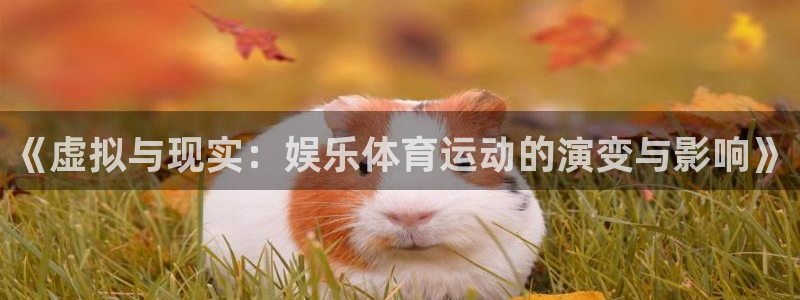 vsport体育在线官网：《虚拟与现