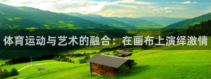 vsport体育平台app：体育运动