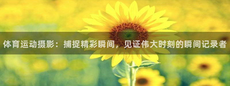 VSport体育平台-胜利因您更精彩