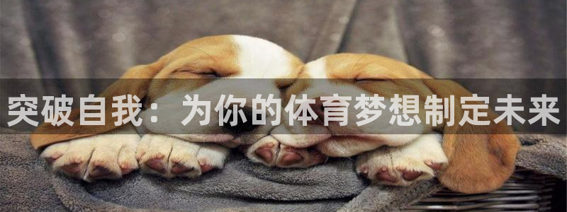vSport体育在线登录平台：突破自
