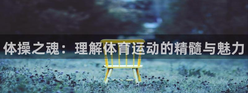 VSport体育官网入口：体操之魂：