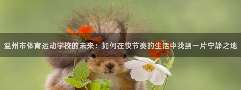 vsport体育平台：温州市体育运动