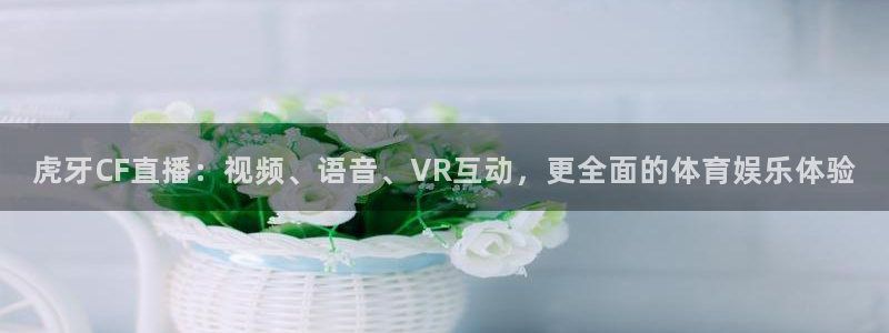 斗球体育直播在线观看电脑版免费：虎牙CF直播：视频、语音、VR互动，更全面的体育娱乐体验