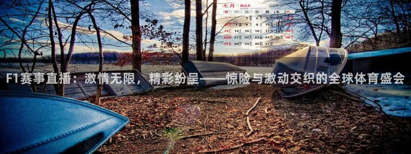 nba斗球直播免费观看直播在线：F1赛事直播：激情无限，精彩纷呈——惊险与激动交织的全球体育盛会
