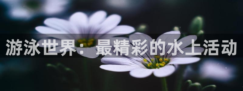 nba斗球体育直播：游泳世界：最精彩的水上活动