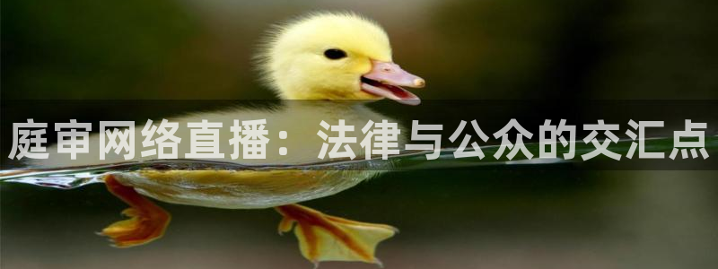 斗球直播软件：庭审网络直播：法律与公众的交汇点