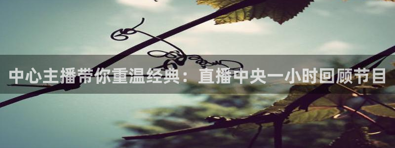 斗球体育直播下载app：中心主播带你重温经典：直播中央一小时回顾节目