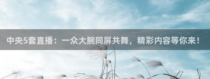 斗球直播间：中央5套直播：一众大腕同屏共舞，精彩内容等你来！