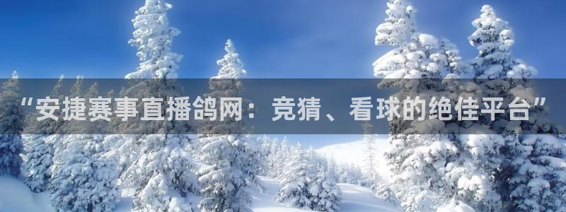 斗球体育下载地址：“安捷赛事直播鸽网：竞猜、看球的绝佳平台”