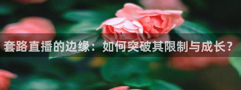 斗球在线直播nba：套路直播的边缘：如何突破其限制与成长？