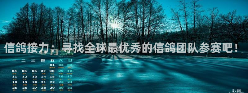 斗球体育直播免费观看：信鸽接力：寻找全球最优秀的信鸽团队参赛吧！