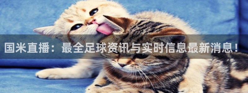 斗球24小时直播在线观看：国米直播：最全足球资讯与实时信息最新消息！